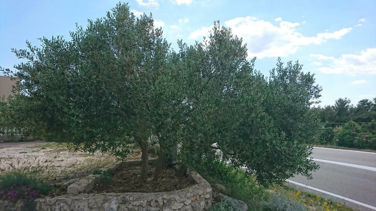 פרימוסטן Apartmani Kocka מראה חיצוני תמונה